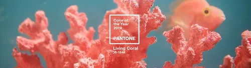 
				
					Cores Pantone: confira cores de todos os anos
				
				