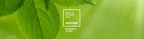 
				
					Cores Pantone: confira cores de todos os anos
				
				