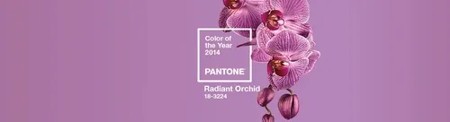 
				
					Cores Pantone: confira cores de todos os anos
				
				