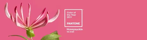 
				
					Cores Pantone: confira cores de todos os anos
				
				