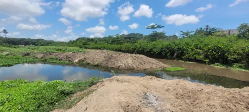 
				
					Denúncias de aterro e desmatamento no Rio Timbó geram ações legais e fiscalização
				
				