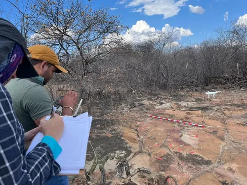 
				
					Descoberta arqueológica no Sertão da Paraíba é uma das mais importantes do ano, afirma revista
				
				