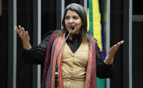 
				
					Eliza retorna à Câmara dos Deputados com licença de Mersinho
				
				