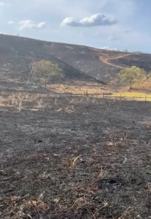 
				
					Incêndio que destruiu 15 hectares da Caatinga é investigado por suspeita de crime ambiental na PB
				
				