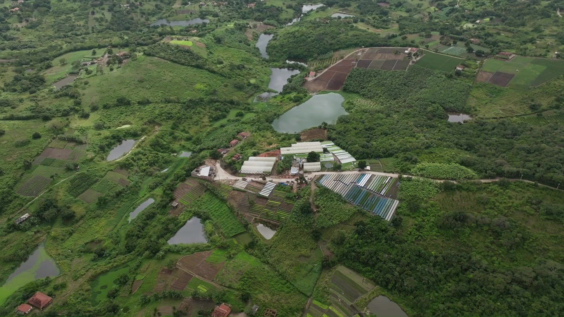 
				
					Acusado de golpe milionário com cultivo de hortaliças é preso; sócia de empresa segue foragida
				
				