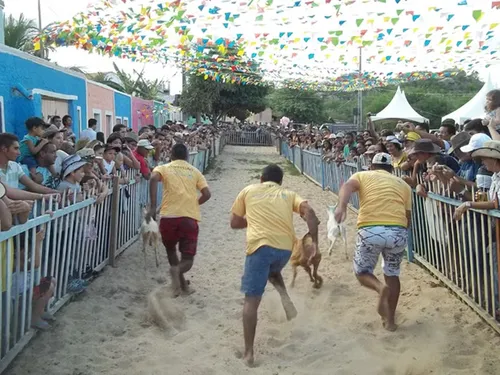 
				
					Justiça proíbe competições com bodes na Festa do Bode Rei e impõe multa de R$ 200 mil
				
				