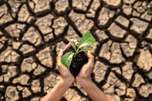 
				
					Mudanças climáticas e desastres naturais são temas do segundo videocast do Lá Vem o Enem 2024
				
				