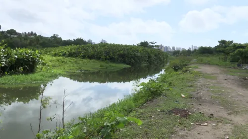 
				
					Paraíba tem aumento expressivo da temperatura e mais de 13 mil ha de área desmatada
				
				