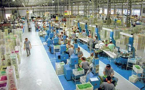 
				
					Fain: legislação estadual põe em xeque a indústria incentivada
				
				