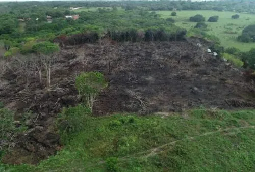 
				
					Sudema arrecada R$ 42 milhões, mas parte pode não ter ido para áreas de proteção ambiental
				
				