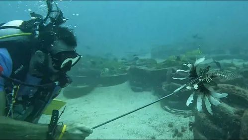 
				
					Sudema se mobiliza para conter avanço de peixe invasor nos mares da Paraíba
				
				