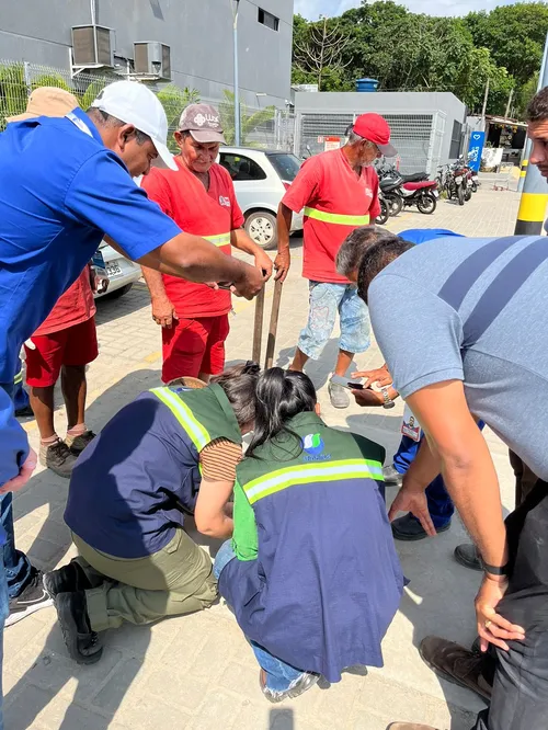 
				
					Supermercado no Altiplano é multado novamente por dano à saúde humana, após análise de amostras
				
				