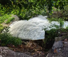 Sudema coleta amostras no Rio Jaguaribe após formação de espuma branca