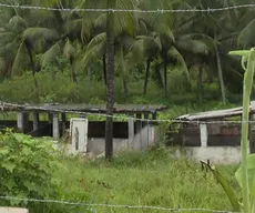 Fiscalização identifica currais de porcos com descarte irregular de dejetos no Rio Jaguaribe