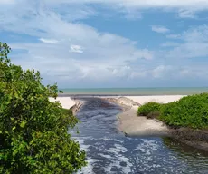 Mancha escura invade mar na Grande João Pessoa