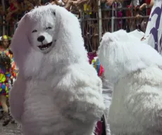 Terceiro dia do Carnaval Tradição 2026 tem desfiles das Ala Ursas em João Pessoa