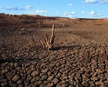 Cinco cidades da Paraíba têm situação de emergência decretada pelo Governo Federal por estiagem