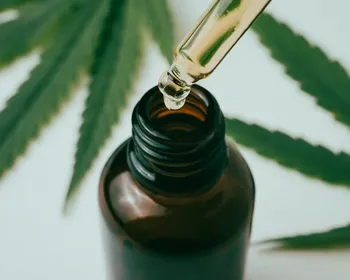 Cannabis medicinal: Anvisa aprova novas regras e amplia acesso no Brasil