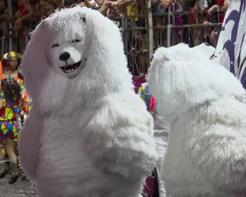 Terceiro dia do Carnaval Tradição 2026 tem desfiles das Ala Ursas em João Pessoa