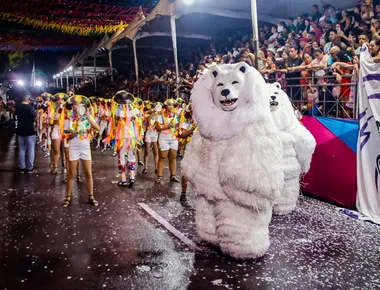 Programação do Carnaval Tradição continua neste domingo com desfiles das ala ursas