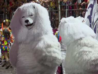 Terceiro dia do Carnaval Tradição 2026 tem desfiles das Ala Ursas em João Pessoa