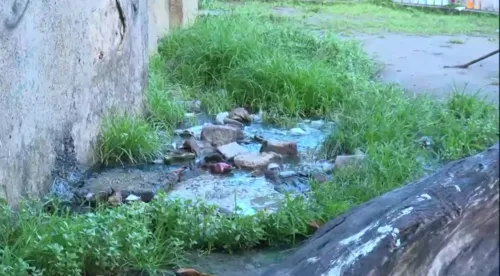 
				
					Abrigo de indígenas no Centro de João Pessoa enfrenta suspeita de surto de leptospirose
				
				