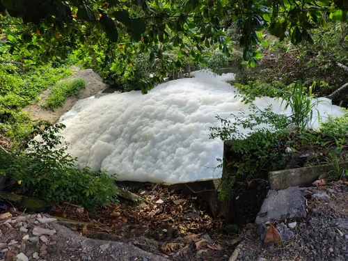 
				
					Testes indicam contaminação em trecho com espuma no Rio Jaguaribe, afirma Sudema
				
				