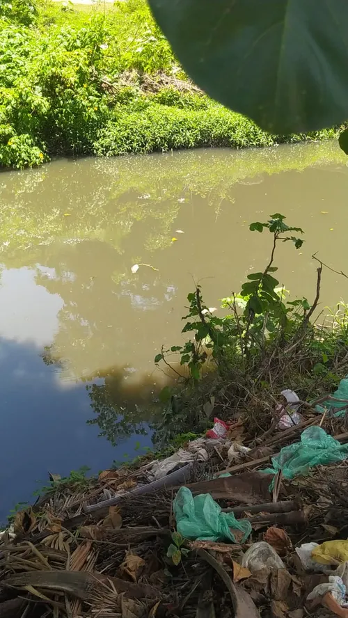 
				
					Sudema coleta amostras no Rio Jaguaribe após formação de espuma branca
				
				