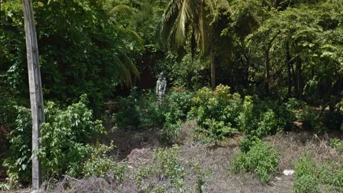 
				
					Estátua de Tiradentes esquecida em mata de João Pessoa vira mistério
				
				