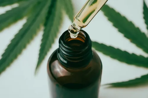 
				
					STJ autoriza que estudante de João Pessoa cultive cannabis com fins medicinais em casa
				
				