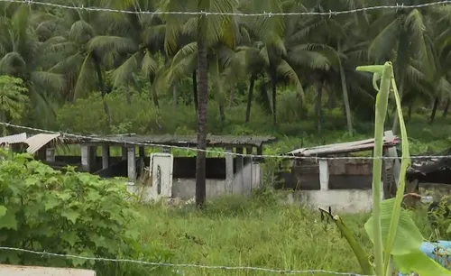 
				
					Fiscalização identifica currais de porcos com descarte irregular de dejetos no Rio Jaguaribe
				
				