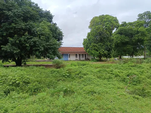  Hospital Colônia de Bayeux: após passado de violências, moradores lutam para manter suas casas 
