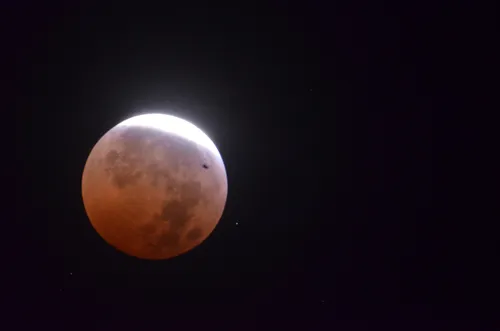 
				
					Lua de Sangue: veja imagens do eclipse lunar na Paraíba
				
				