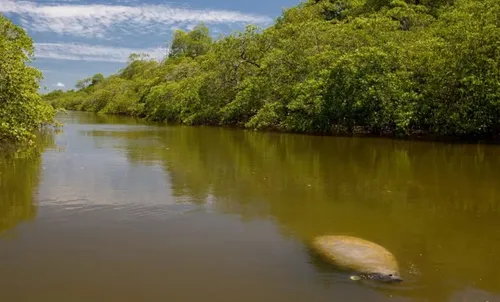 
				
					MPF emite recomedações para preservar comunidade tradicional de Barra de Mamanguape
				
				