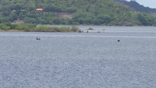 
				
					Pescadores denunciam falta de fiscalização e pesca irregular no Açude de Boqueirão na piracema
				
				