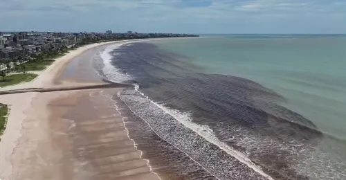 
				
					Sudema investiga causas de mancha escura no mar entre João Pessoa e Cabedelo
				
				