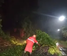 João Pessoa e Região Metropolitana enfrentam alagamentos e queda de árvore após chuvas intensas