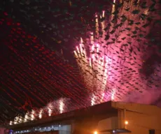 Queimaduras no São João: como prevenir e tratar lesões causadas por fogos de artifício e fogueira