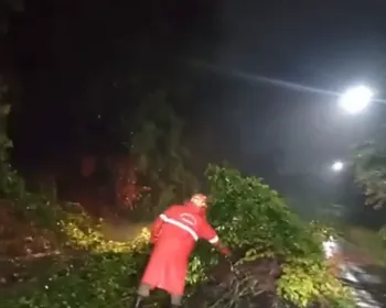 João Pessoa e Região Metropolitana enfrentam alagamentos e queda de árvore após chuvas intensas