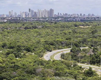 Operação Mata Viva: mais de 100 hectares são embargados por desmatamento ilegal na Paraíba