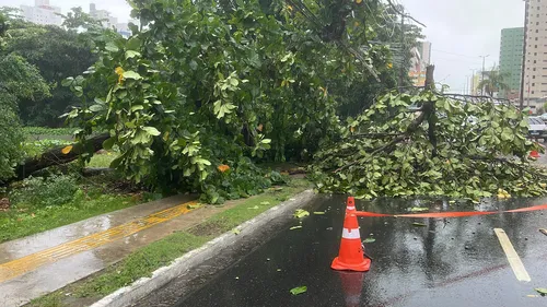 
				
					Alerta de chuvas intensas para João Pessoa e outras 22 cidades da Paraíba; veja lista
				
				