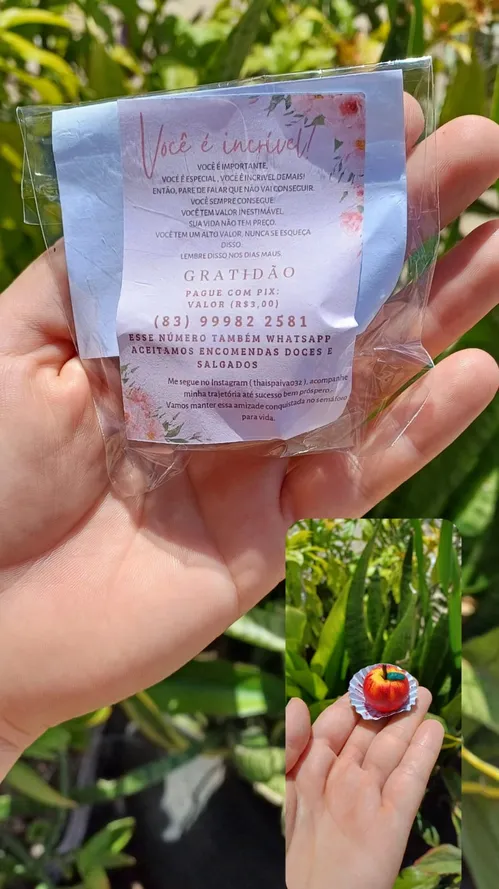 
				
					Donas da Rua: o empreendedorismo feminino que movimenta as esquinas de João Pessoa
				
				