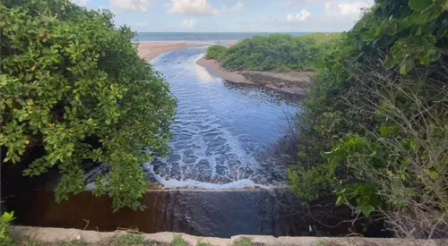 
				
					Nova mancha escura no mar aparece entre as praias do Bessa e Intermares
				
				