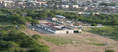 
				
					O poder do coletivo: como as cooperativas transformam vidas na Paraíba
				
				