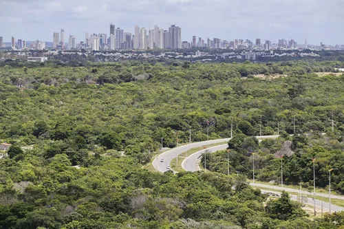 
				
					Operação Mata Viva: mais de 100 hectares são embargados por desmatamento ilegal na Paraíba
				
				