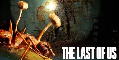 
				
					The Last of Us: o que é verdade e o que é mentira na série sobre fungo zumbi
				
				