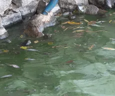 Açude Velho: prefeitura deve pedir prorrogação de prazo para evitar fechamento de quiosques