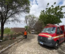 Após fortes chuvas, Defesa Civil de Patos registra 14 ocorrências