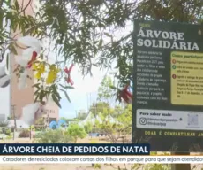 Árvore de Natal solidária: cartinhas de crianças são colocadas em parque de João Pessoa