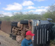 Carreta que transportava cerca de 80 bois tomba no Sertão